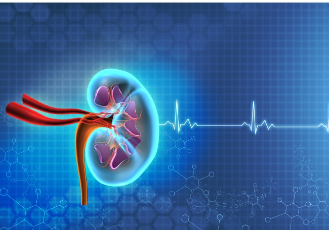 Glomerulonefritis en niños y jóvenes